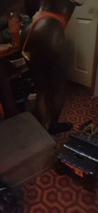 Sexy Dark Trans