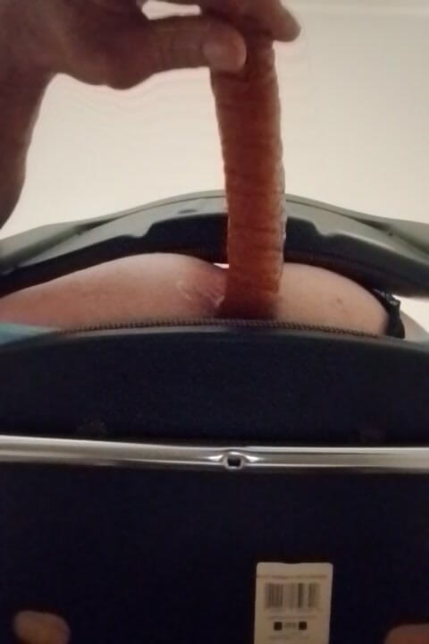 AukasZ1980: 对话二