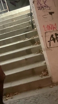 O altă plimbare cu o coadă de cal în Anus