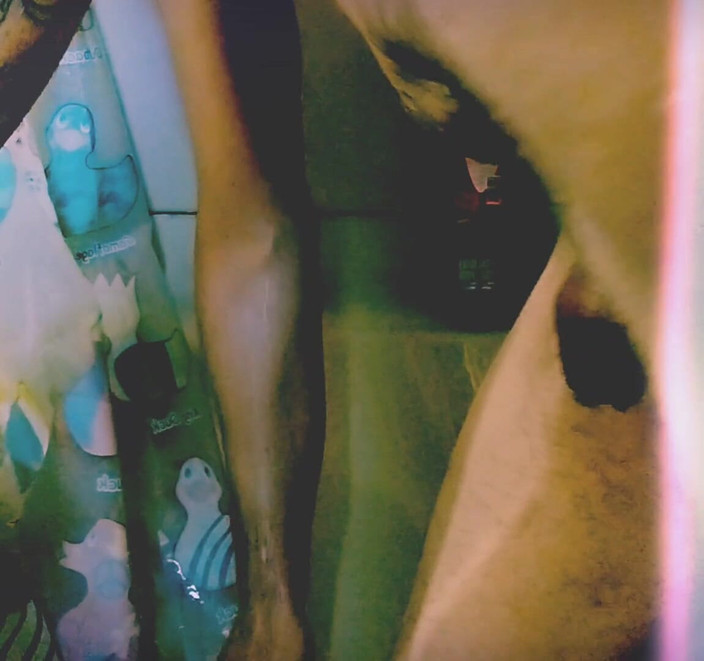 HungBareBackRabbit: Golden Fun