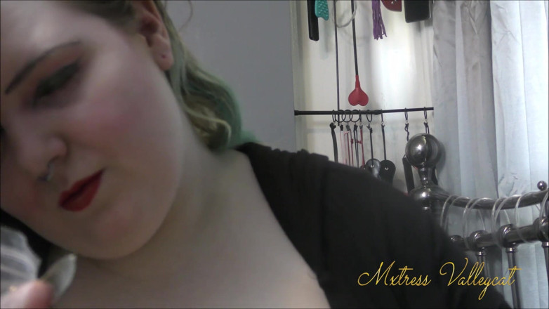 Mxtress Valleycat: Sizing up ear gauges
