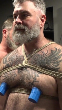 Papai Se Relacionando