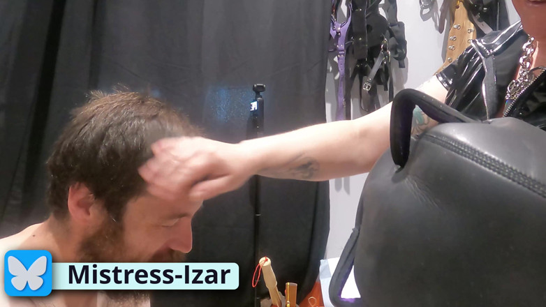 The Izars: Pet Play Praise e treinamento para colarinho de estimação