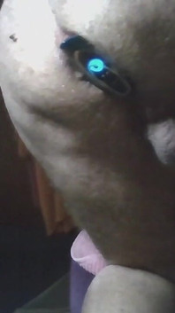 Fuck My Horny Ass Hole