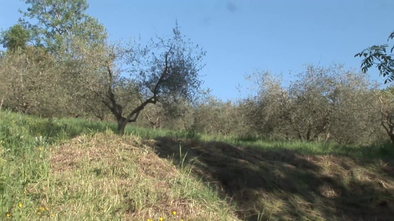 King Of Amateur: Shameless Women Sex Outdoor