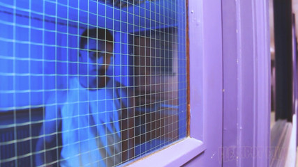 Fleshpot films: Reenemator 2