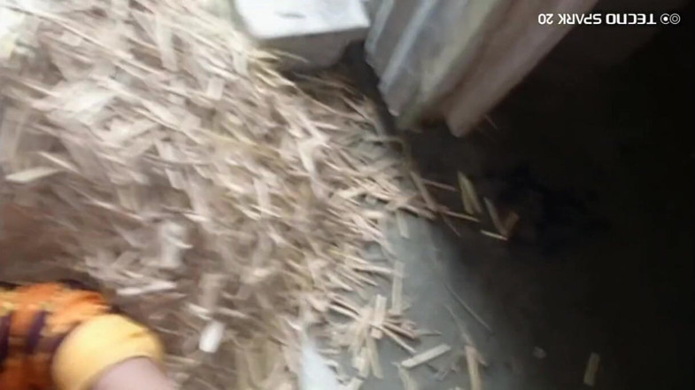 Real Time Enjoy: Secret Moments in the Village Barn