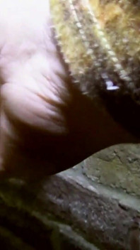 Hayran isteği olgun seksi ayakları gösteren yüksek topuklu kız harika ayakla muameleyle bitiyor