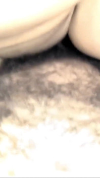 3069646
