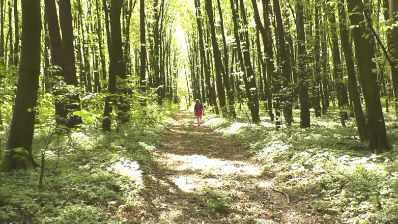 XXX-Platinum: MILF sexy blondine ohne höschen erntet Frühjahrsblumen im wald