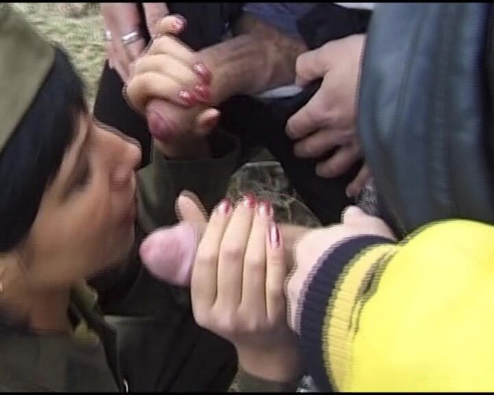 German Amateur Videos: Soliders germane suge câteva pule în aer liber