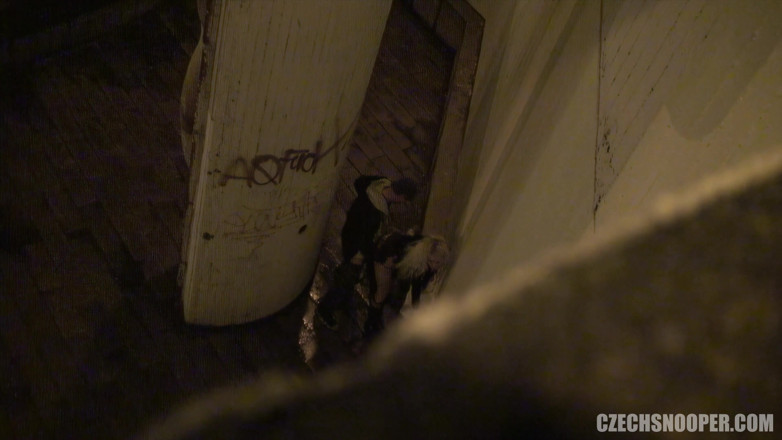 Czech Snooper: Czech snooper 5: filthy outdoor exhibitionist gives voyeurs a perfect view!