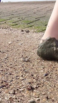 Con Finas Medias En El Mar De Wadden De Wangerland
