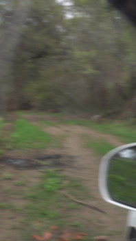 I Show My Boobs in Random Places