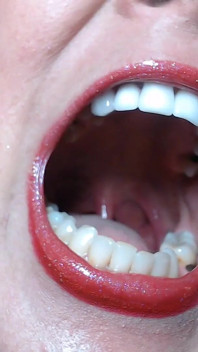 Tour The Terrors in my Mouth