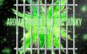 Goddess Misha Goldy: Aroma Prison dla BBC Junky Fagboy!