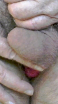 Jurulatih Karl's Balls