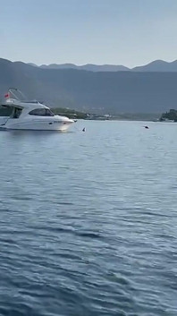 Monika Fox Berenang Pagi Berbogel di Teluk