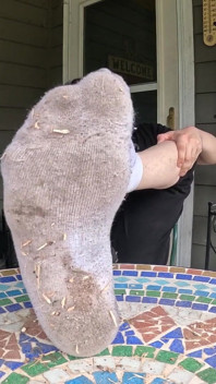 I Show off My Dirty Socks and Feet