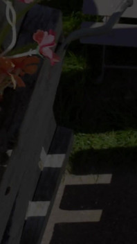 Bribed and Bred by My Old Time Bully