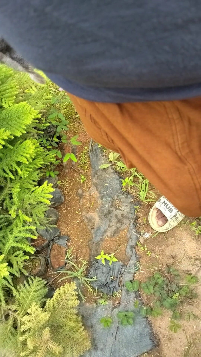 Mg3947731: 丈夫妻子完整的德希性感视频