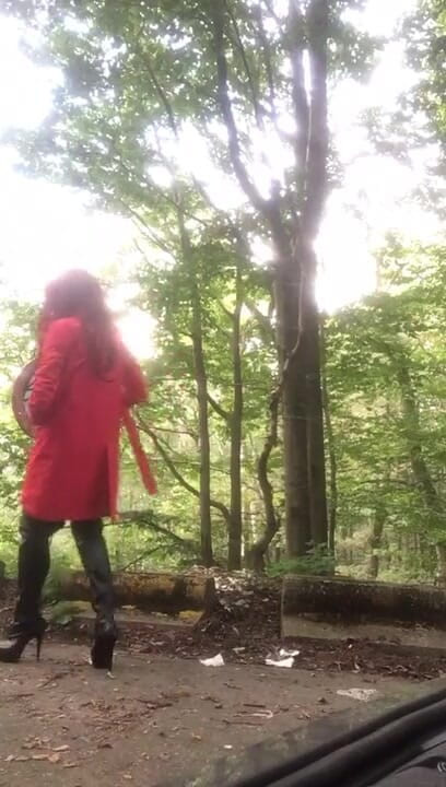 Sofiasse: Stavo passeggiando nella foresta