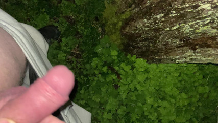 C_Huntsman: Malý měkký čůrák, Malá chcaní kompilace