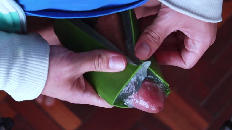 MGEc21: Sử dụng Aloe Vera như một Fleshlight