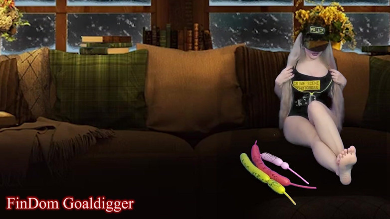 FinDom Goaldigger: Cyber CEI