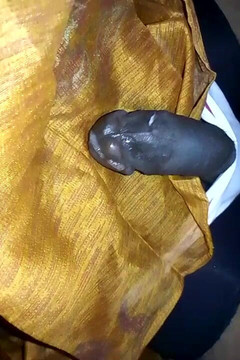 Jaanu294: Indischer stil, solo-junge lanka