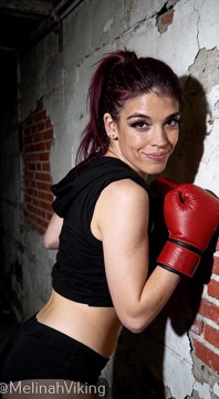 Boxer excitat