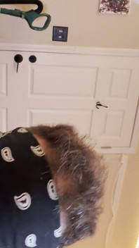 Hot Couple Fucks