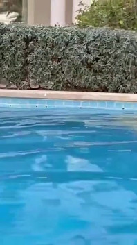 Sexy Monika Fox Swims Naked in Pool and Sea in Hot Country