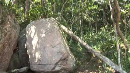 Gay 4 Pleasure: Sexy black threesome in the jungle