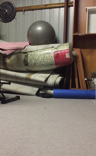 Michellexm: 训练家