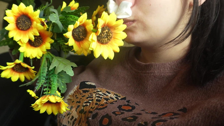 AmayaMori: くしゃみが車に乗って、プラスチックの花アレルギー反応