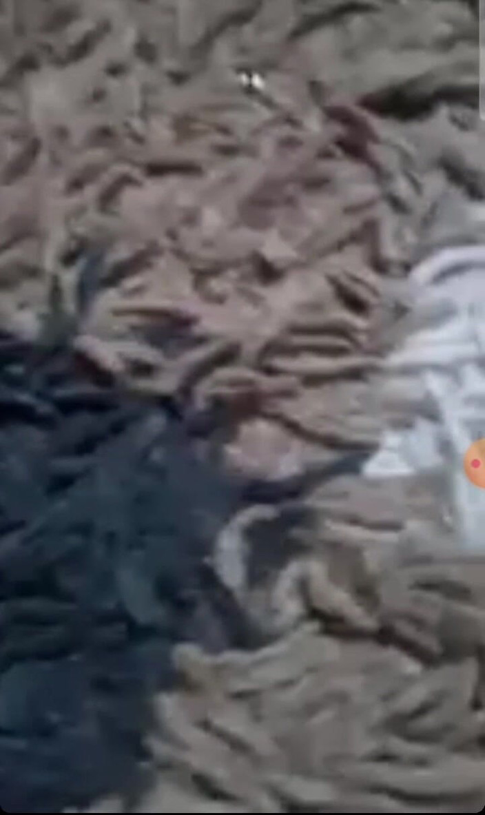 KittieNoOne: 클로즈업 섹스 머신