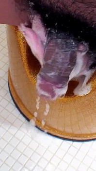 Sweet Asian teen banged by step dad while bathing