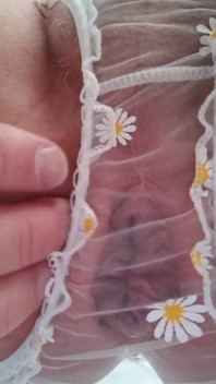 CD Quick Tease in Lingerie