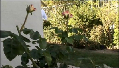 XTime Vod: Un gros cul suce une bite dans le jardin