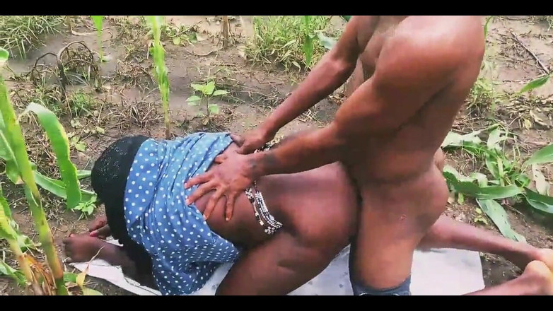 Showkee: auf dem bauernhof