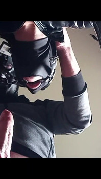 Chairtied, Hooded, Ballgagged and Ring Gagged I Have to Suck Until He Cums