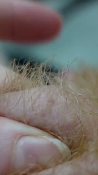 Showing You My Hairy Pussy up Close