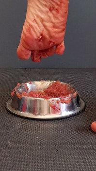발 아래 통조림 고기
