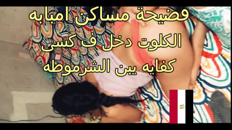 Egyptian taboo clan: The Clit Entered My Pussy
