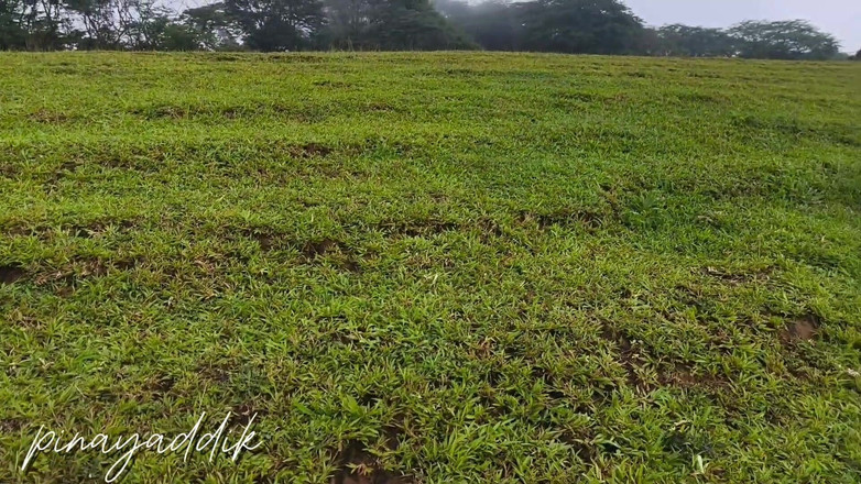 Lovelyaddik: Amante della natura adorabilepinay