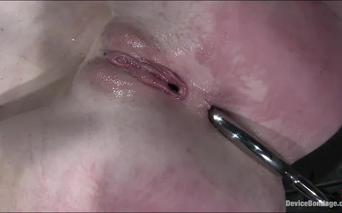 Device Bondage by Kink: Taut - Device Bondage by Kink