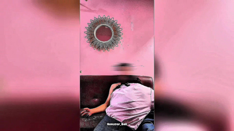 Hamster_Ball: Najnowsze wideo skandalu ze studentem i nauczycielem w 2025 r.