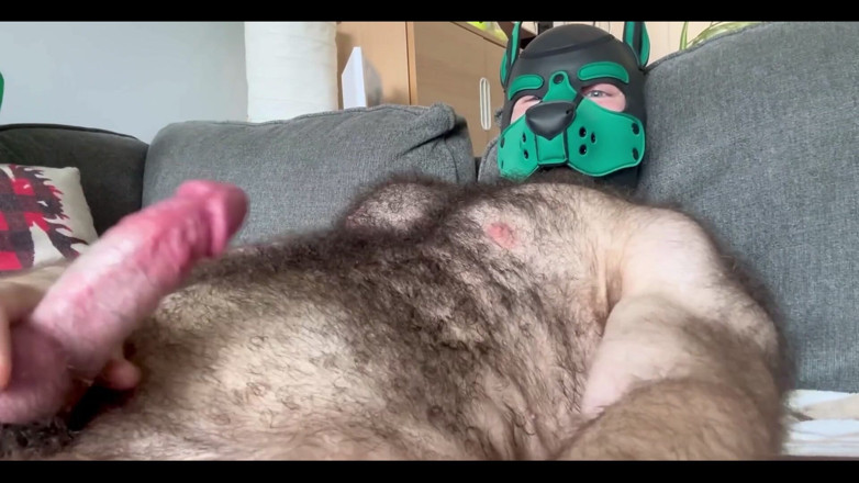 BeefyCanuck: Cine vrea să ajute un pup out?