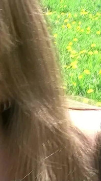 A Summer Day in the Park